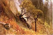 Albert Bierstadt Landscape Study, Yosemite California Spain oil painting artist